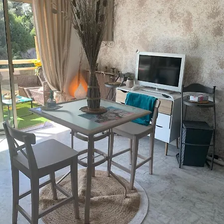 Appartement Luxurious In 450m From Sea With Terrace And Air Conditioning And Private Parking Cannes