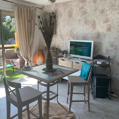 Luxurious In 450m From Sea With Terrace And Air Conditioning And Private Parking Appartement Cannes