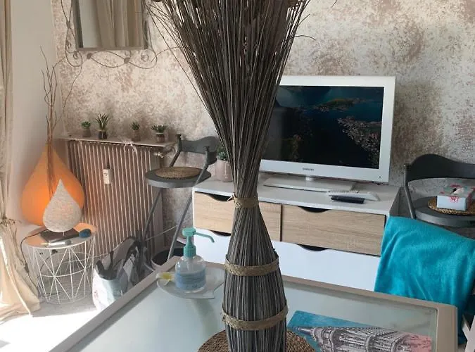 Luxurious In 450m From Sea With Terrace And Air Conditioning And Private Parking Cannes